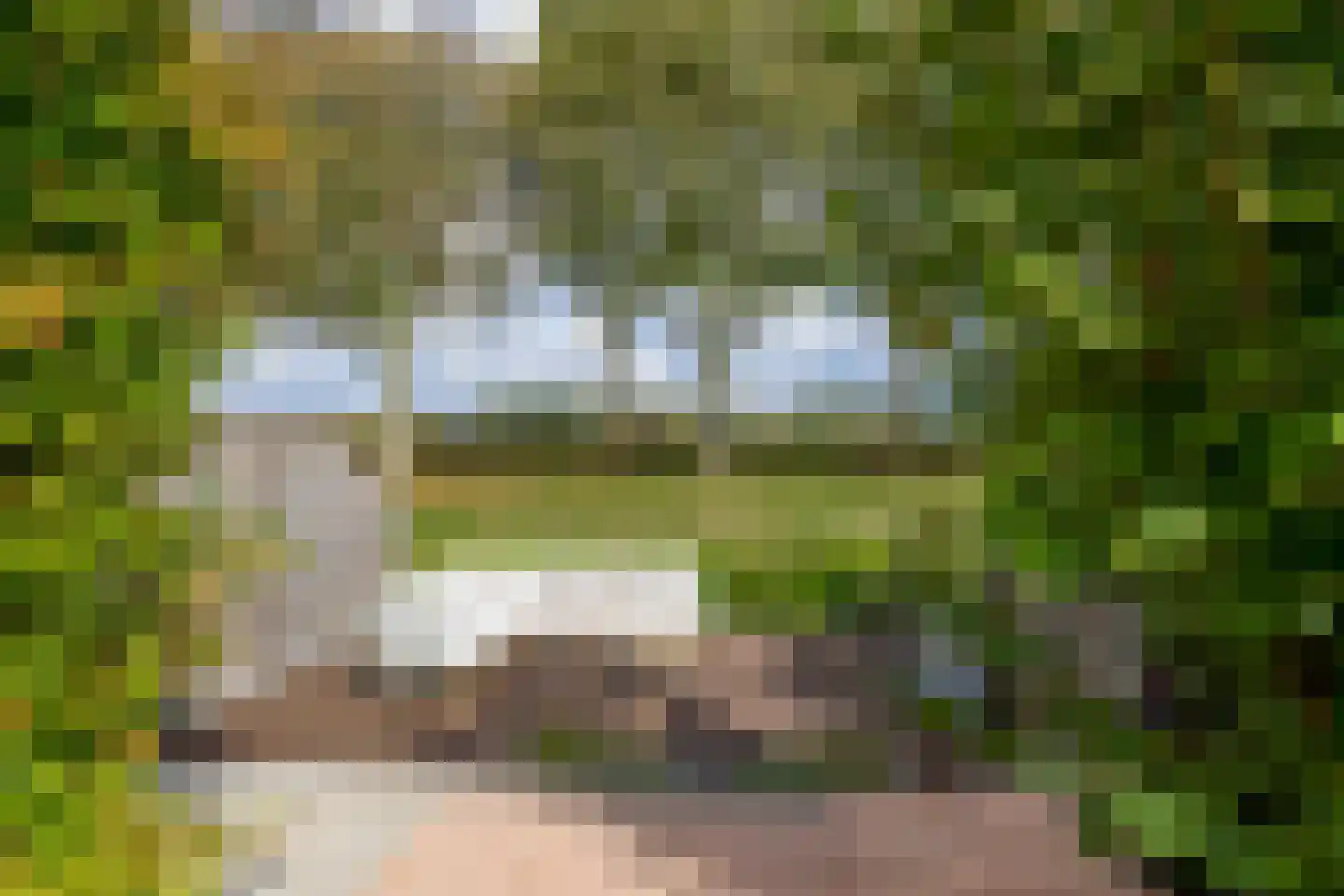Vuursteenkreek 19 Spijkenisse thumbnail 25