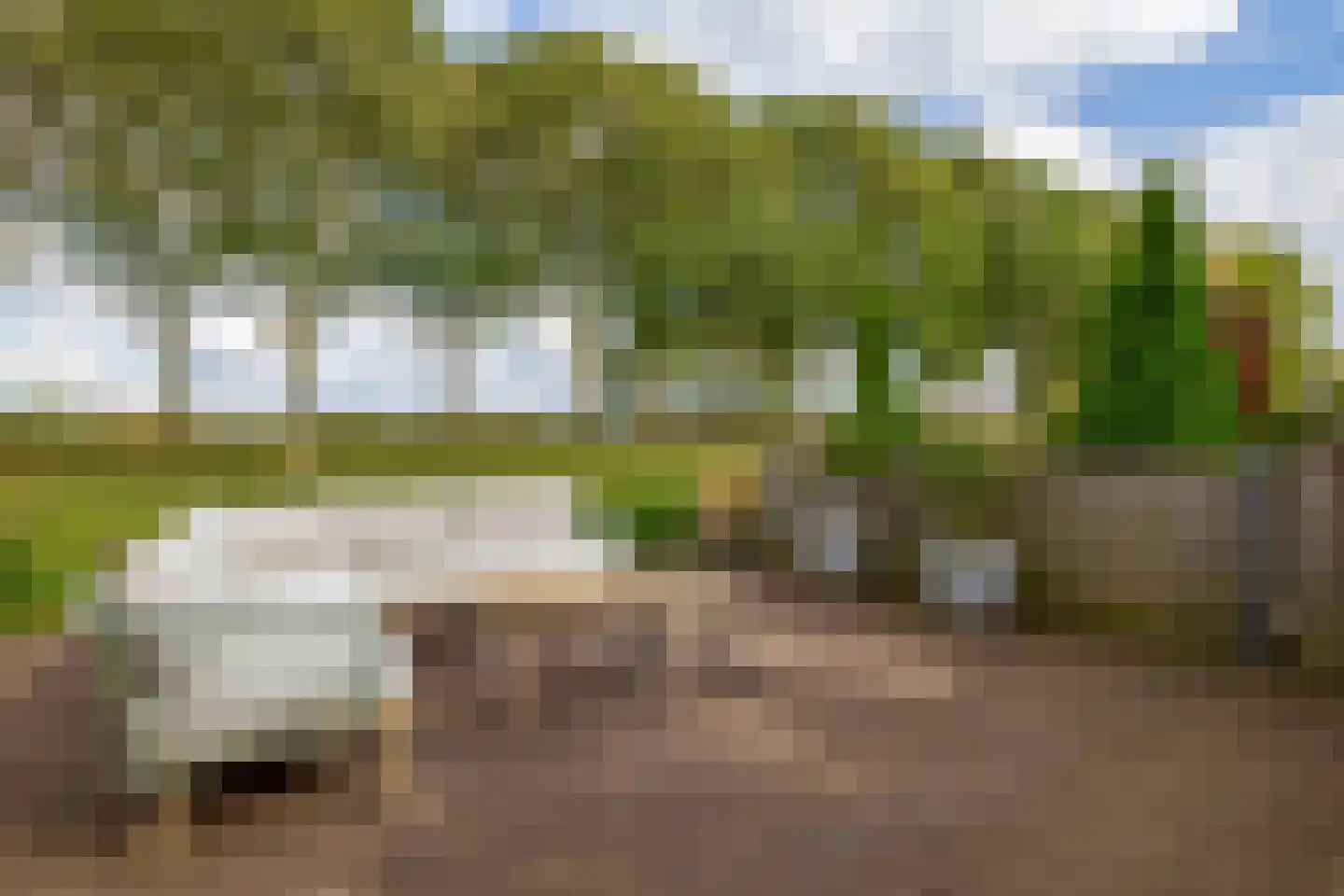 Vuursteenkreek 19 Spijkenisse thumbnail 26