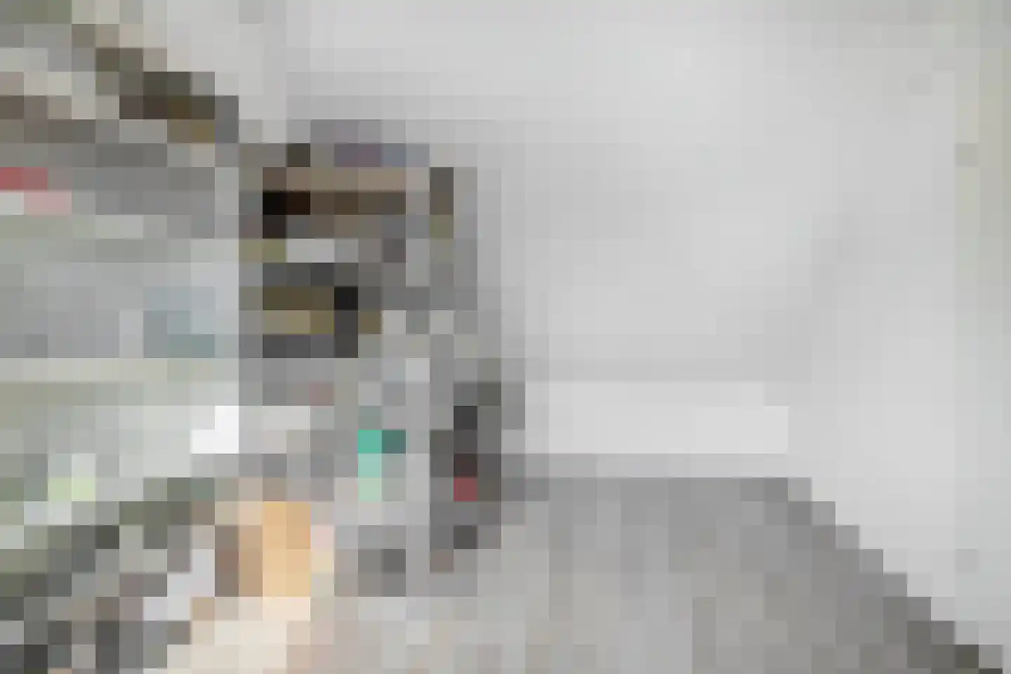 Vuursteenkreek 19 Spijkenisse thumbnail 42