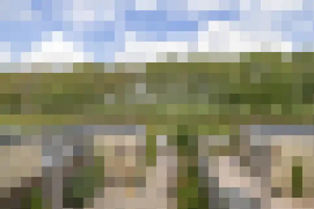 Vuursteenkreek 19 Spijkenisse thumbnail 6