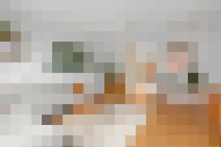 Vuursteenoever 10 Nieuwegein thumbnail 15