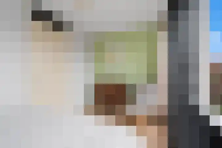 Vuursteenoever 10 Nieuwegein thumbnail 26