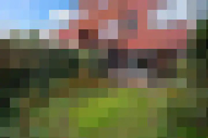 Vuursteenoever 10 Nieuwegein thumbnail 4