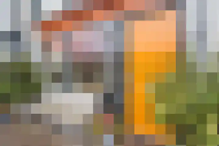 Vuursteenoever 10 Nieuwegein thumbnail 47