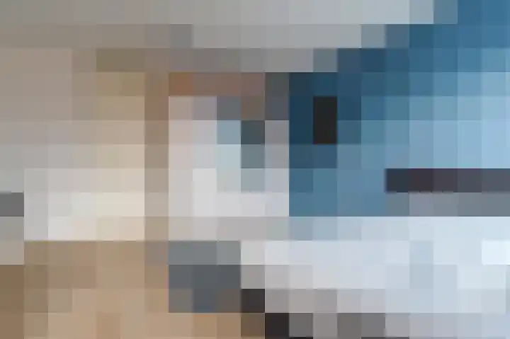 Vuursteenoever 11 Nieuwegein thumbnail 26