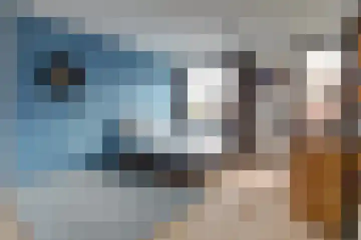 Vuursteenoever 11 Nieuwegein thumbnail 27