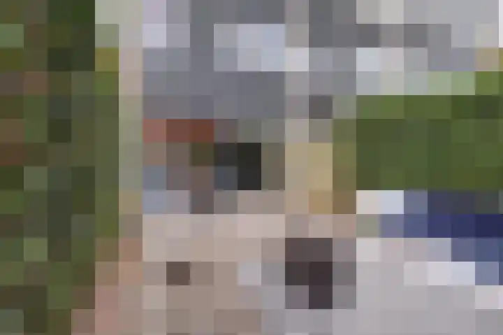 Vuursteenoever 11 Nieuwegein thumbnail 36