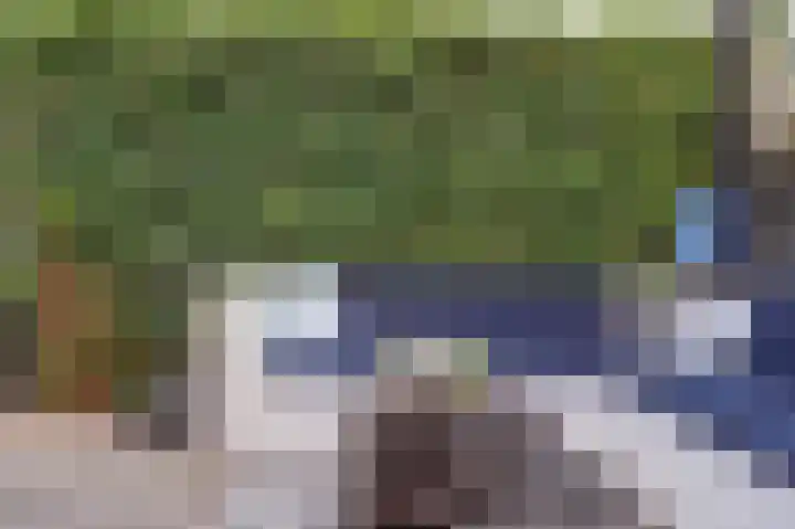 Vuursteenoever 11 Nieuwegein thumbnail 39