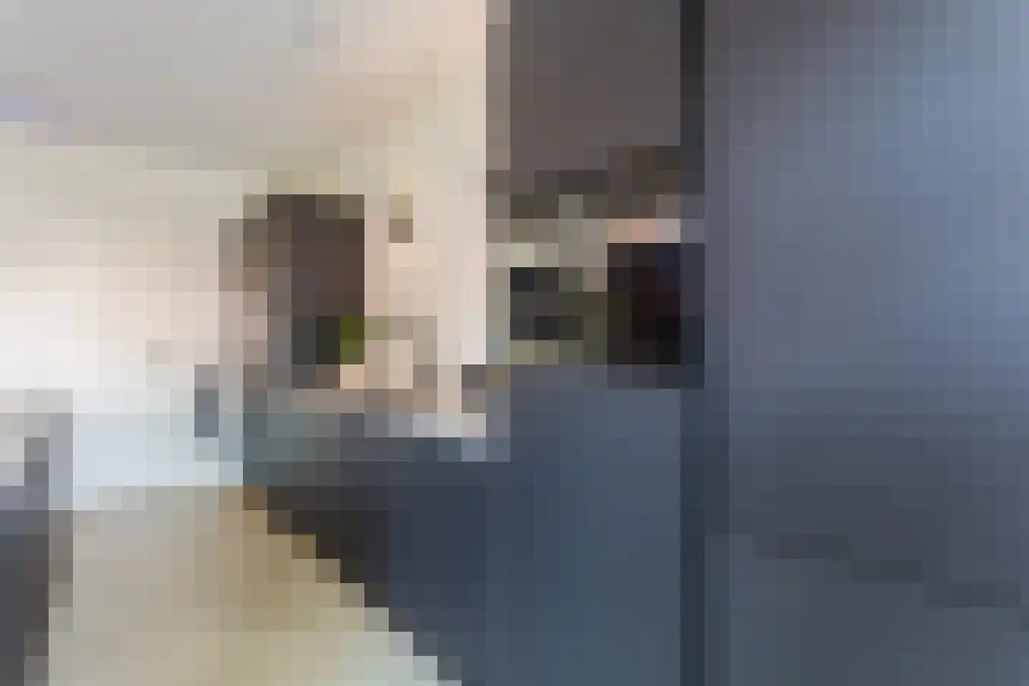 Vuursteenoever 13 Nieuwegein thumbnail 13