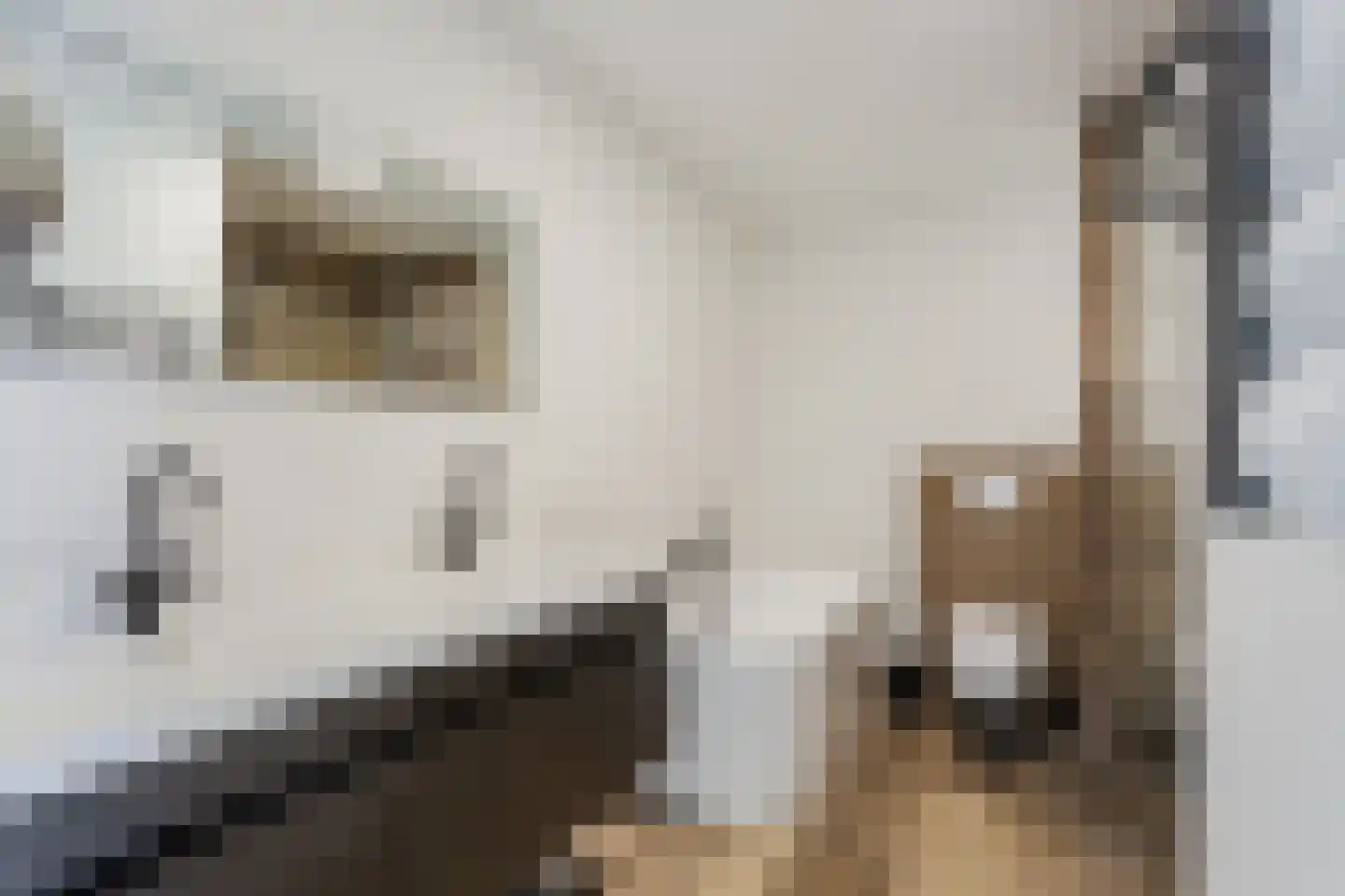 Vuursteenoever 13 Nieuwegein thumbnail 4