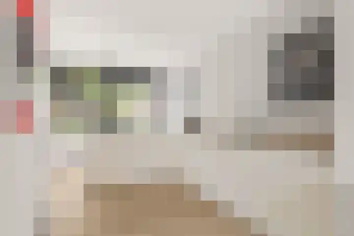 Vuursteenoever 17 Nieuwegein thumbnail 20