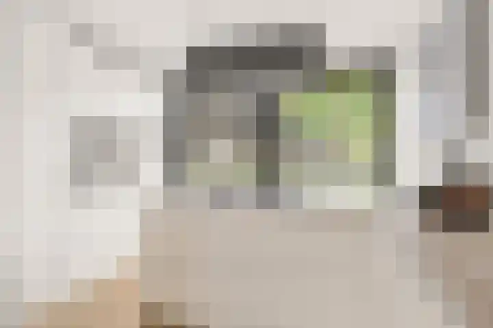 Vuursteenoever 17 Nieuwegein thumbnail 21