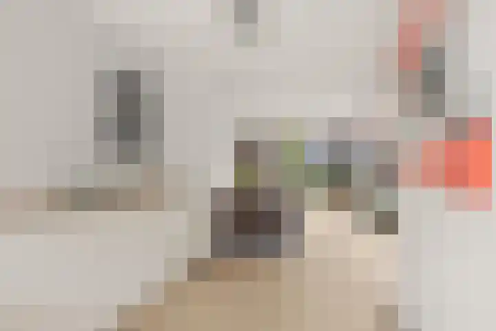 Vuursteenoever 17 Nieuwegein thumbnail 25