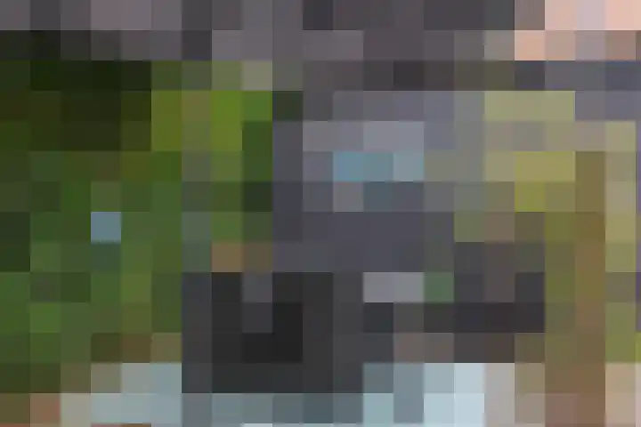 Vuursteenoever 17 Nieuwegein thumbnail 27