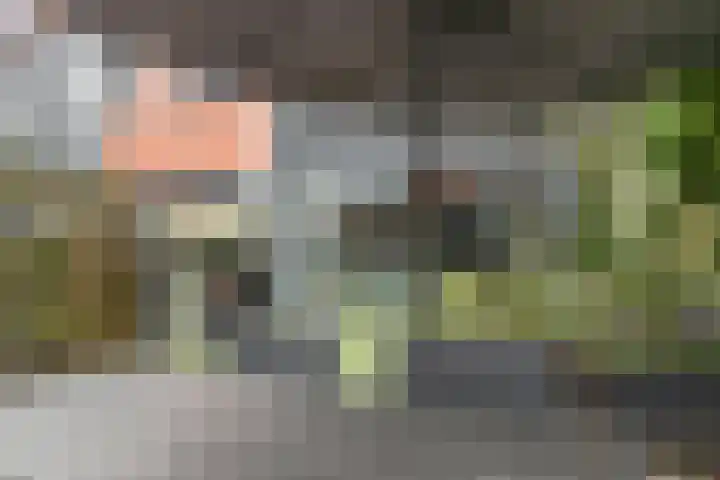Vuursteenoever 17 Nieuwegein thumbnail 32