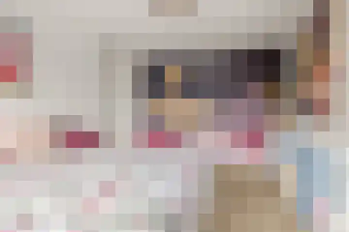 Vuursteenoever 17 Nieuwegein thumbnail 37