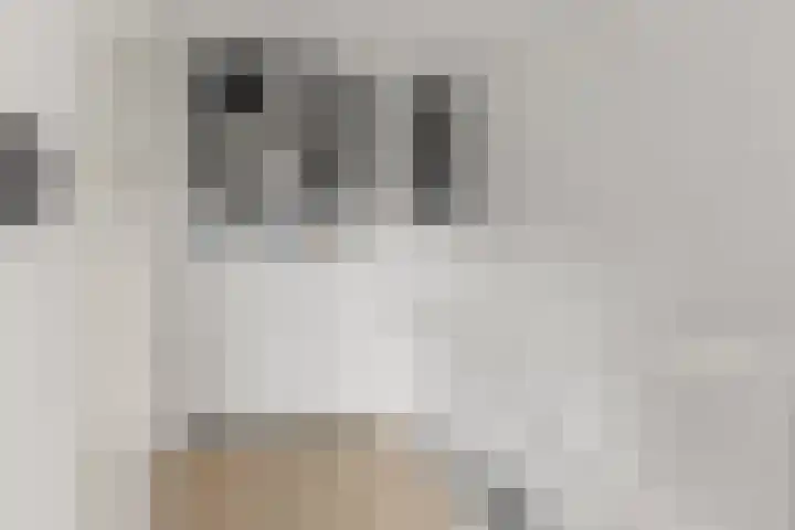 Vuursteenoever 17 Nieuwegein thumbnail 38