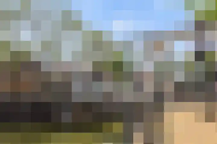 Vuursteenoever 17 Nieuwegein thumbnail 60