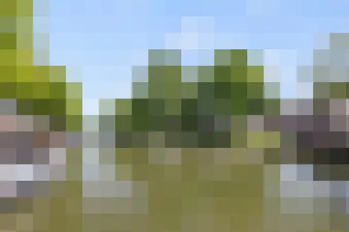 Vuursteenoever 17 Nieuwegein thumbnail 61