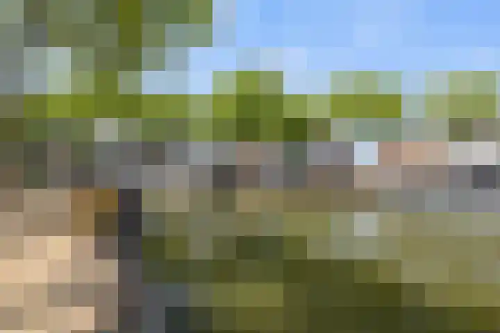 Vuursteenoever 17 Nieuwegein thumbnail 64