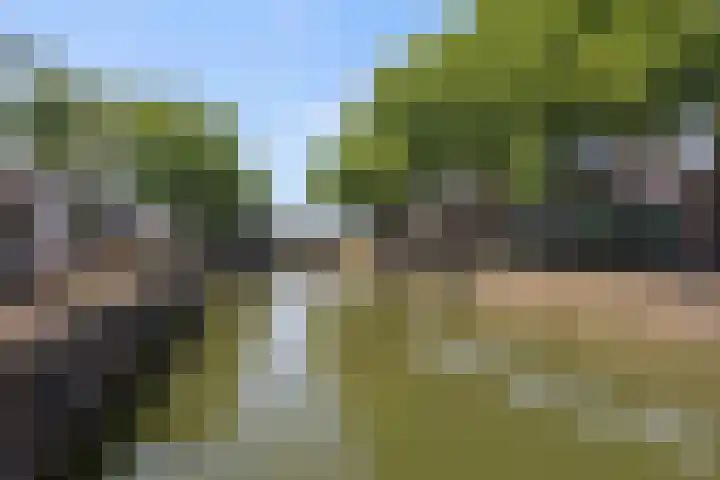 Vuursteenoever 17 Nieuwegein thumbnail 65