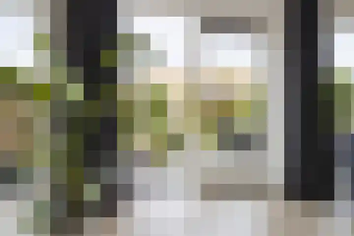 Vuursteenstraat 44 Groningen thumbnail 20
