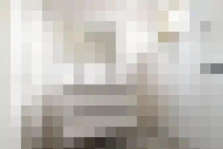 Vuursteenstraat 44 Groningen thumbnail 31
