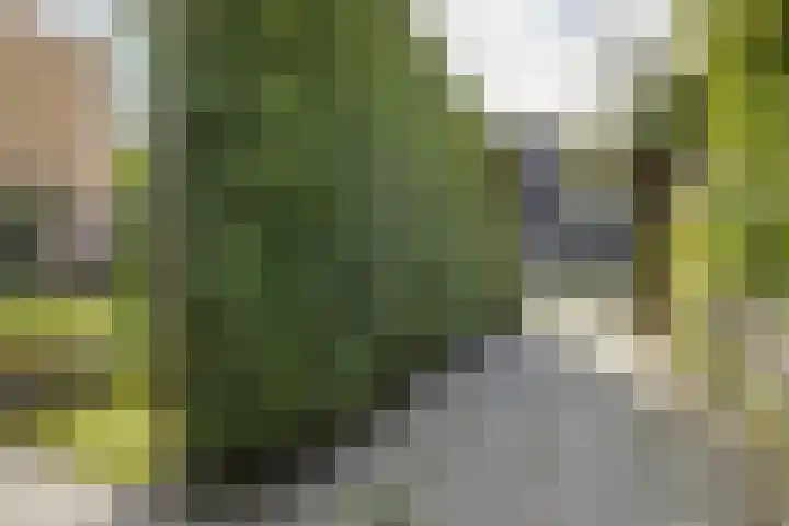 Vuursteenstraat 44 Groningen thumbnail 33