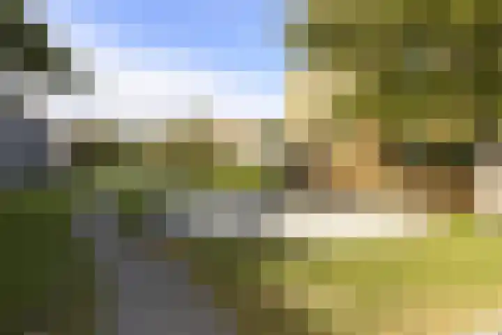 Vuursteenstraat 44 Groningen thumbnail 34
