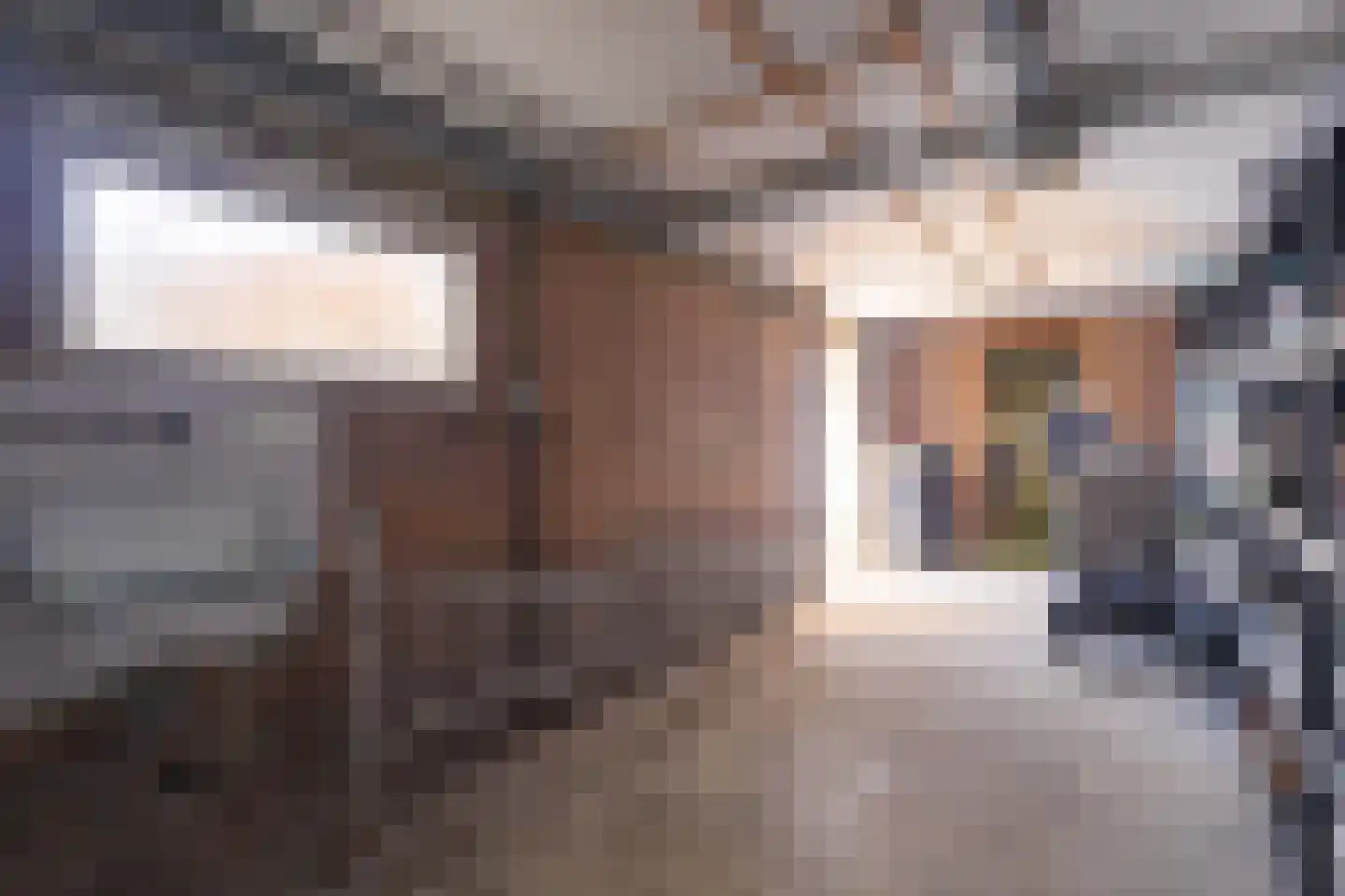 Vuursteenstraat 8 Gronsveld thumbnail 23