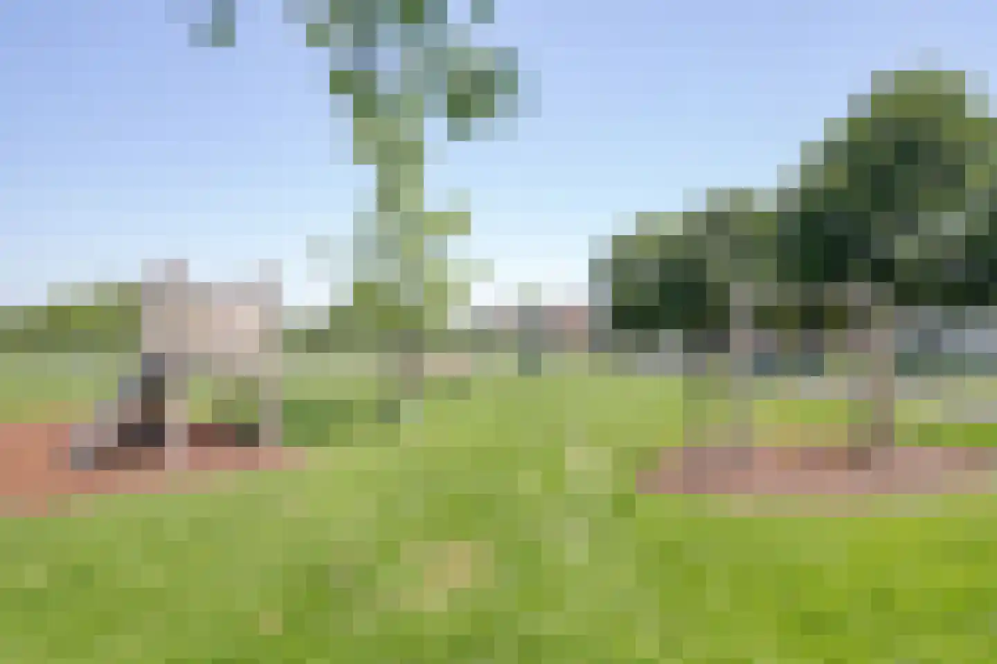 Vuursteenstraat 8 Gronsveld thumbnail 24