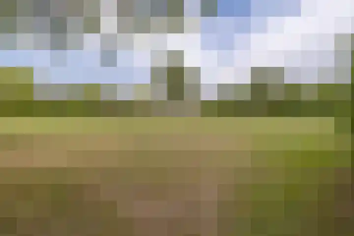 Vuurtoren 11 Middelburg thumbnail 40