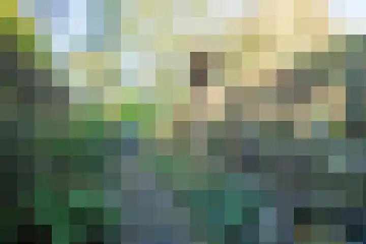 Vuurtoren 23 Amstelveen thumbnail 18