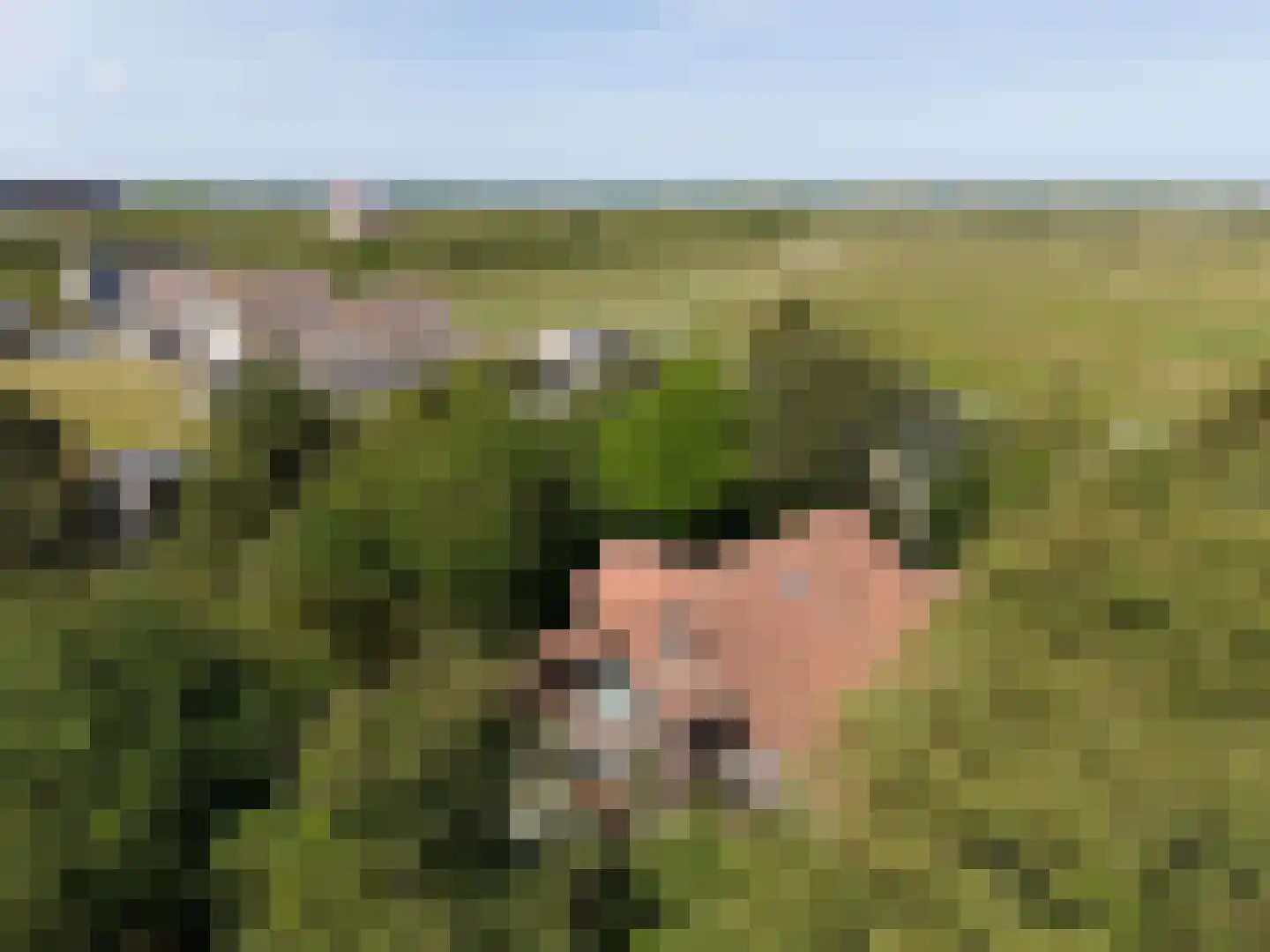 Vuurtorenpad 12 A Schiermonnikoog