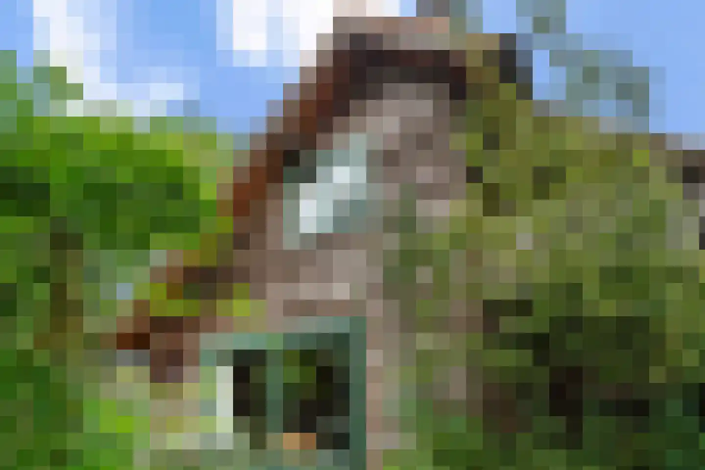 Vuurtorenpad 12 A Schiermonnikoog thumbnail 11