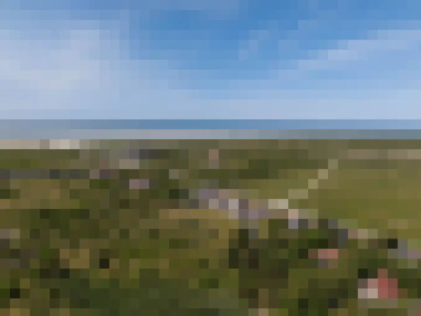 Vuurtorenpad 12 A Schiermonnikoog foto 2