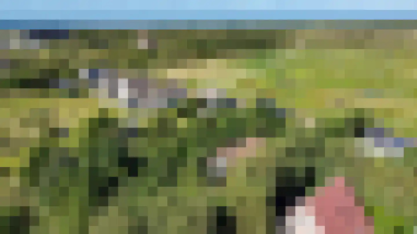 Vuurtorenpad 12 A Schiermonnikoog thumbnail 35