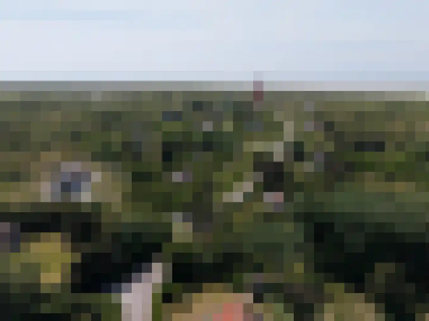 Vuurtorenpad 12 A Schiermonnikoog thumbnail 36