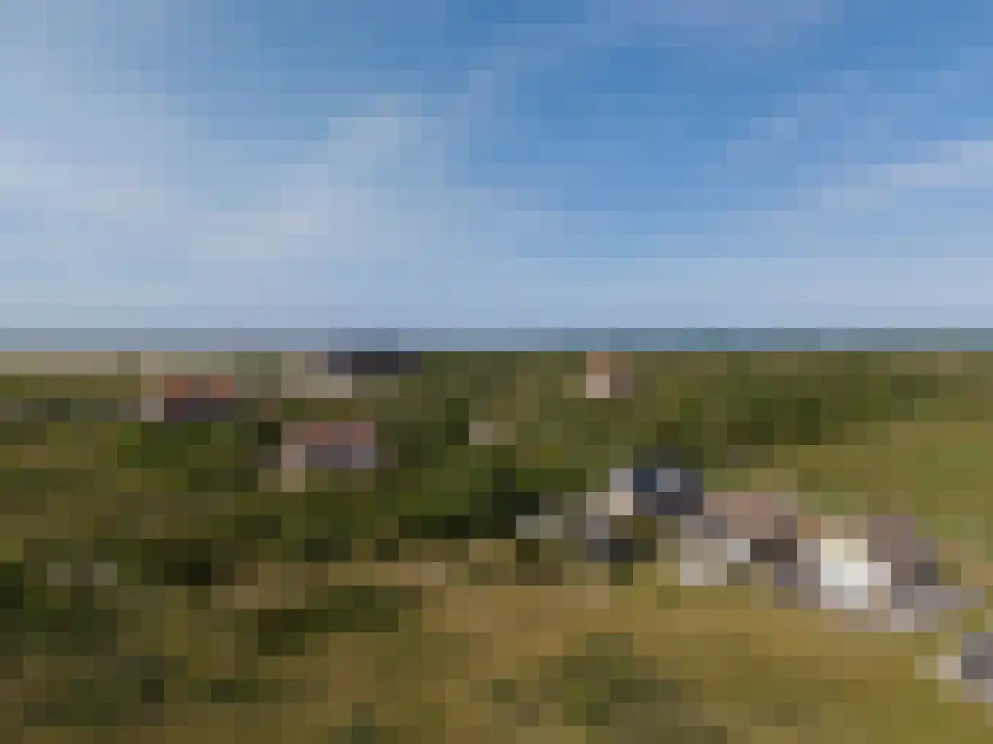 Vuurtorenpad 12 A Schiermonnikoog thumbnail 38