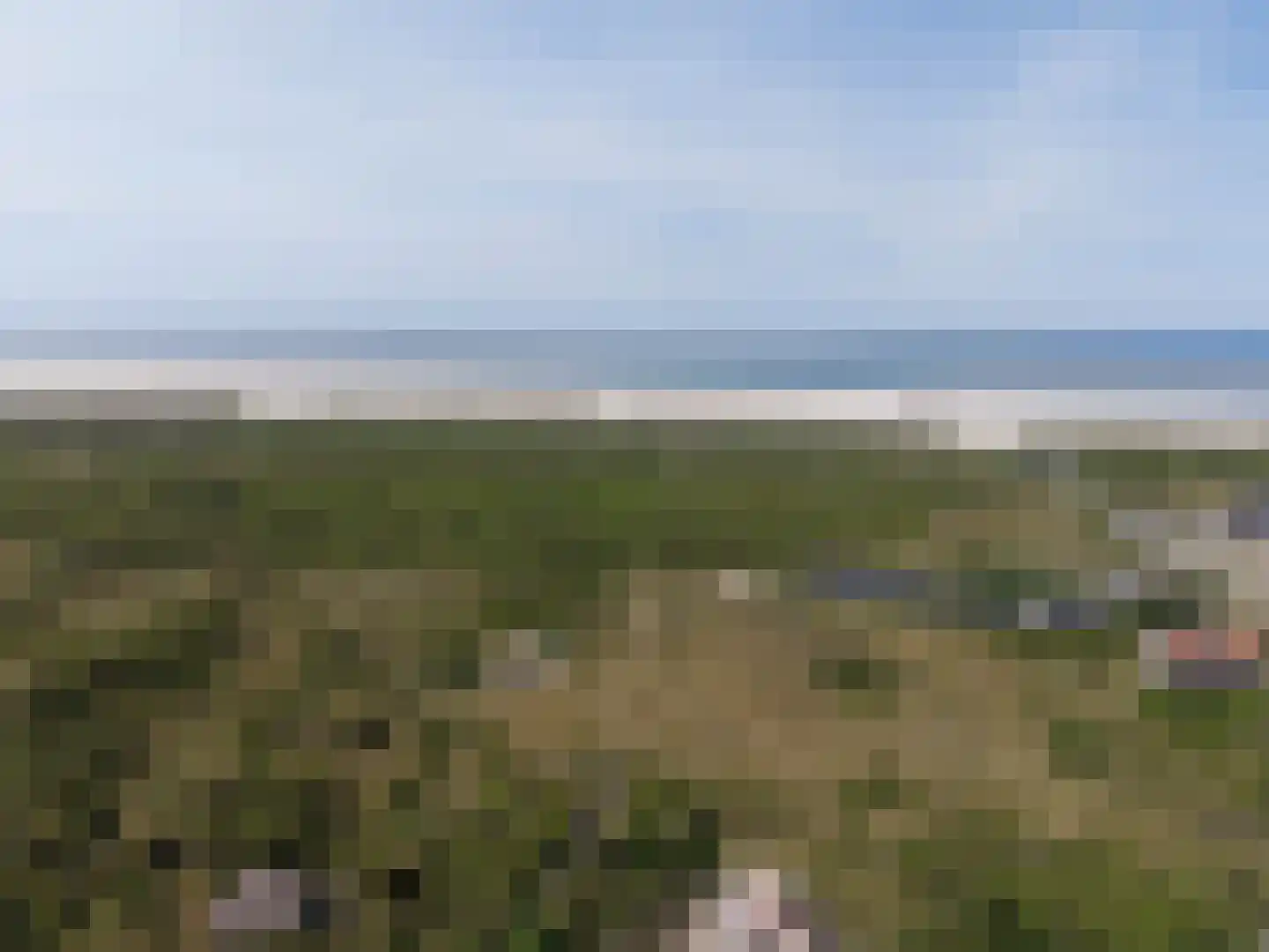 Vuurtorenpad 12 A Schiermonnikoog thumbnail 40