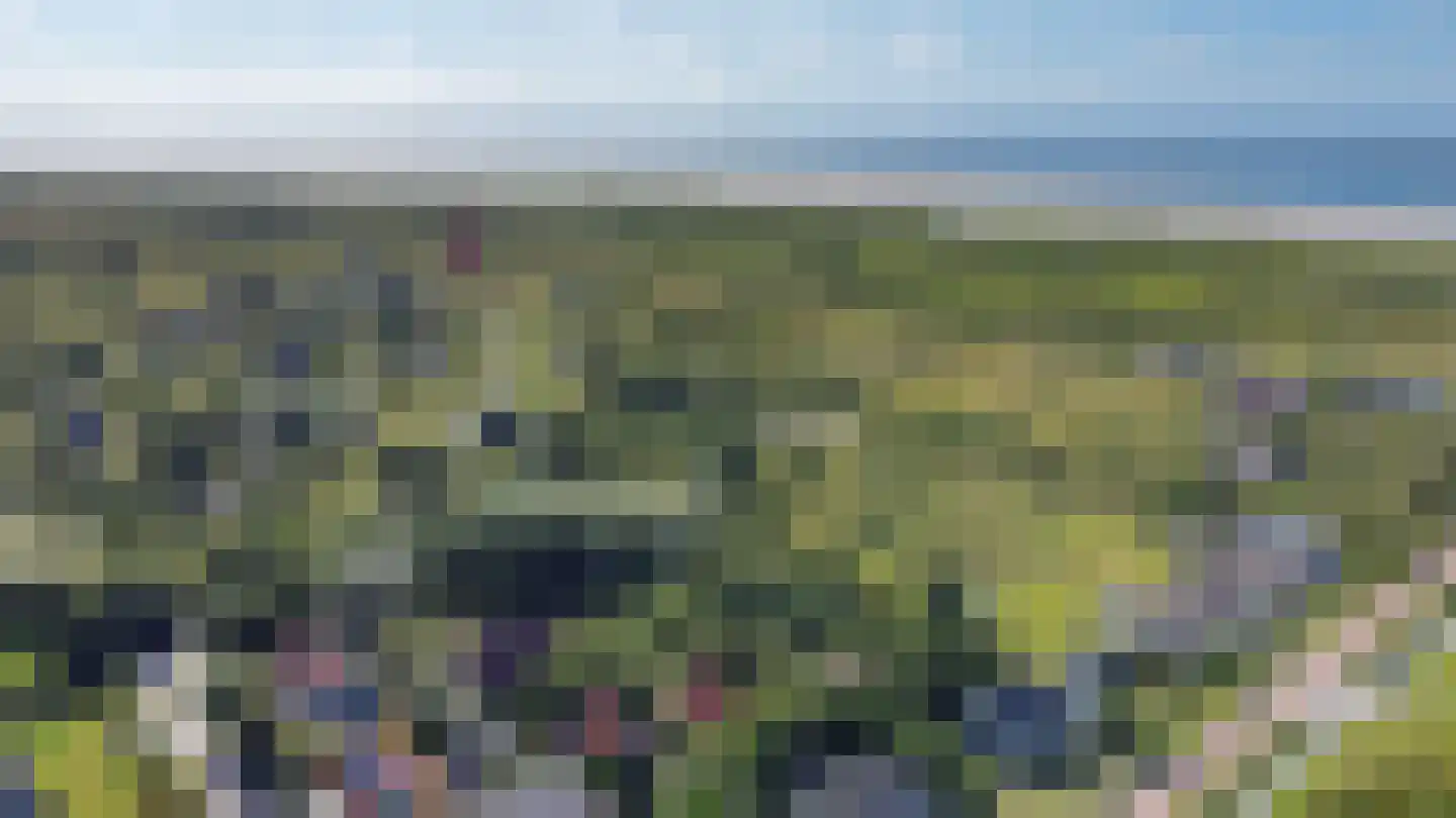 Vuurtorenpad 12 A Schiermonnikoog thumbnail 41