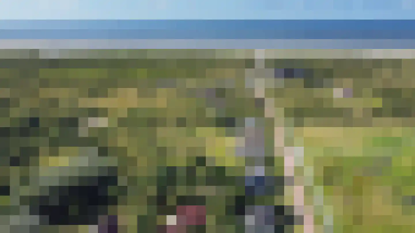 Vuurtorenpad 12 A Schiermonnikoog thumbnail 42