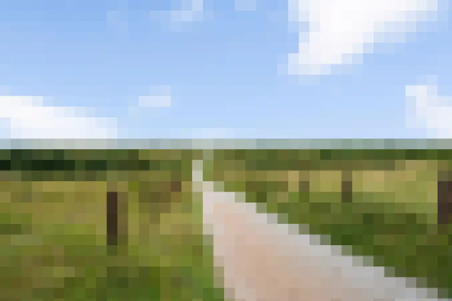 Vuurtorenpad 12 A Schiermonnikoog thumbnail 49