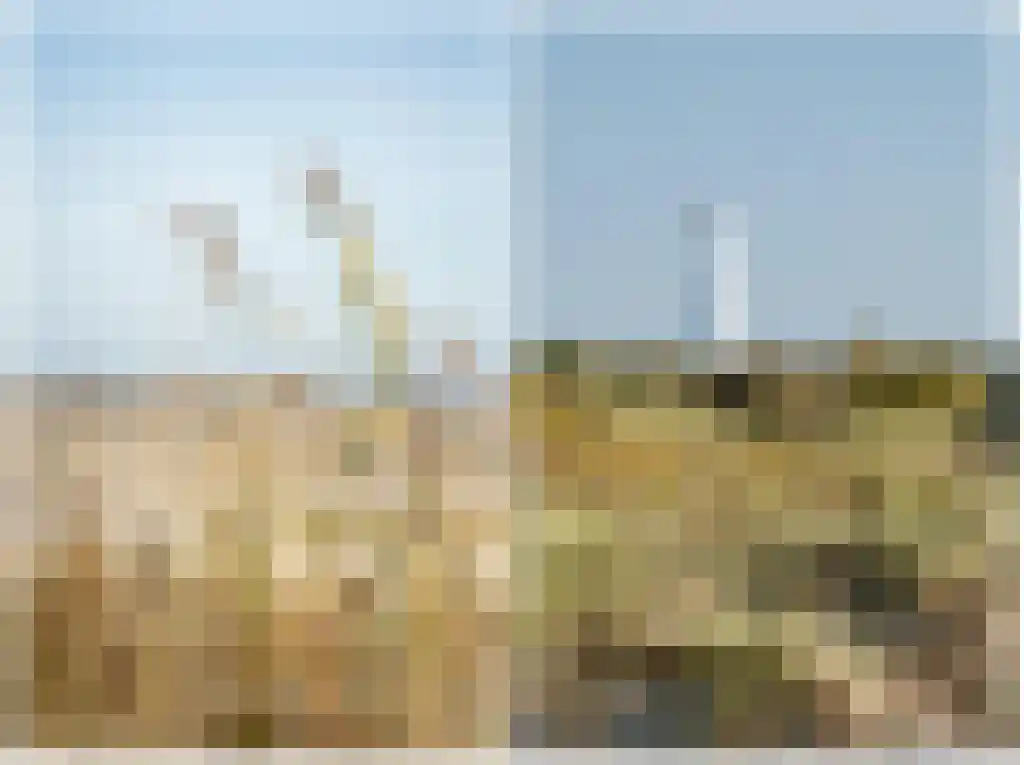 Vuurtorenpad 12 A Schiermonnikoog thumbnail 50