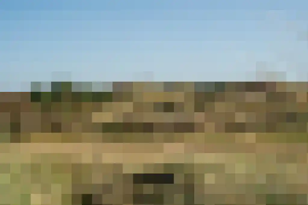 Vuurtorenpad 12 A Schiermonnikoog thumbnail 55
