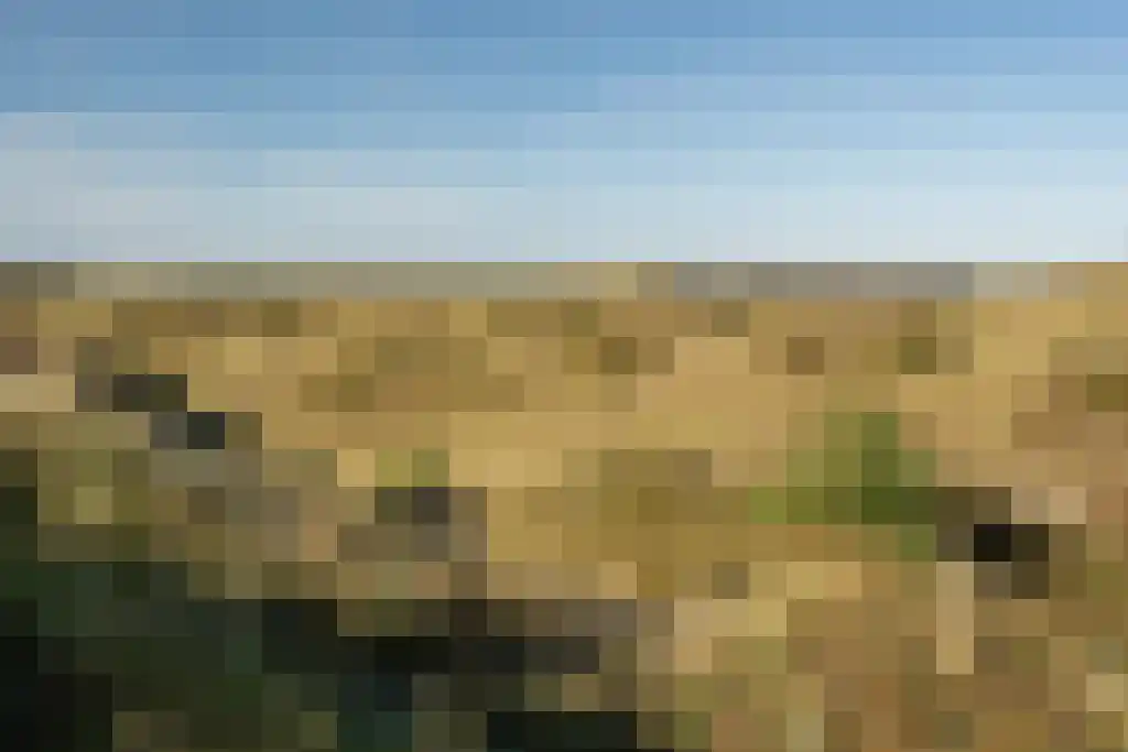 Vuurtorenpad 12 A Schiermonnikoog thumbnail 56