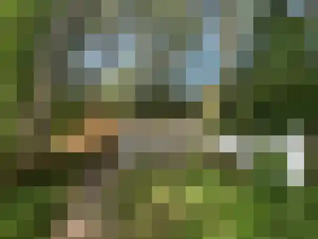 Vuurtorenpad 12 A Schiermonnikoog thumbnail 7