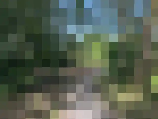 Vuurtorenpad 12 A Schiermonnikoog thumbnail 8