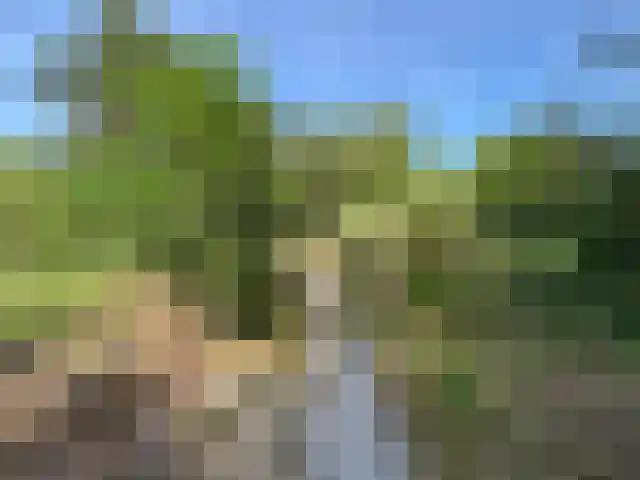 Vuurtorenpad 12 A Schiermonnikoog thumbnail 9