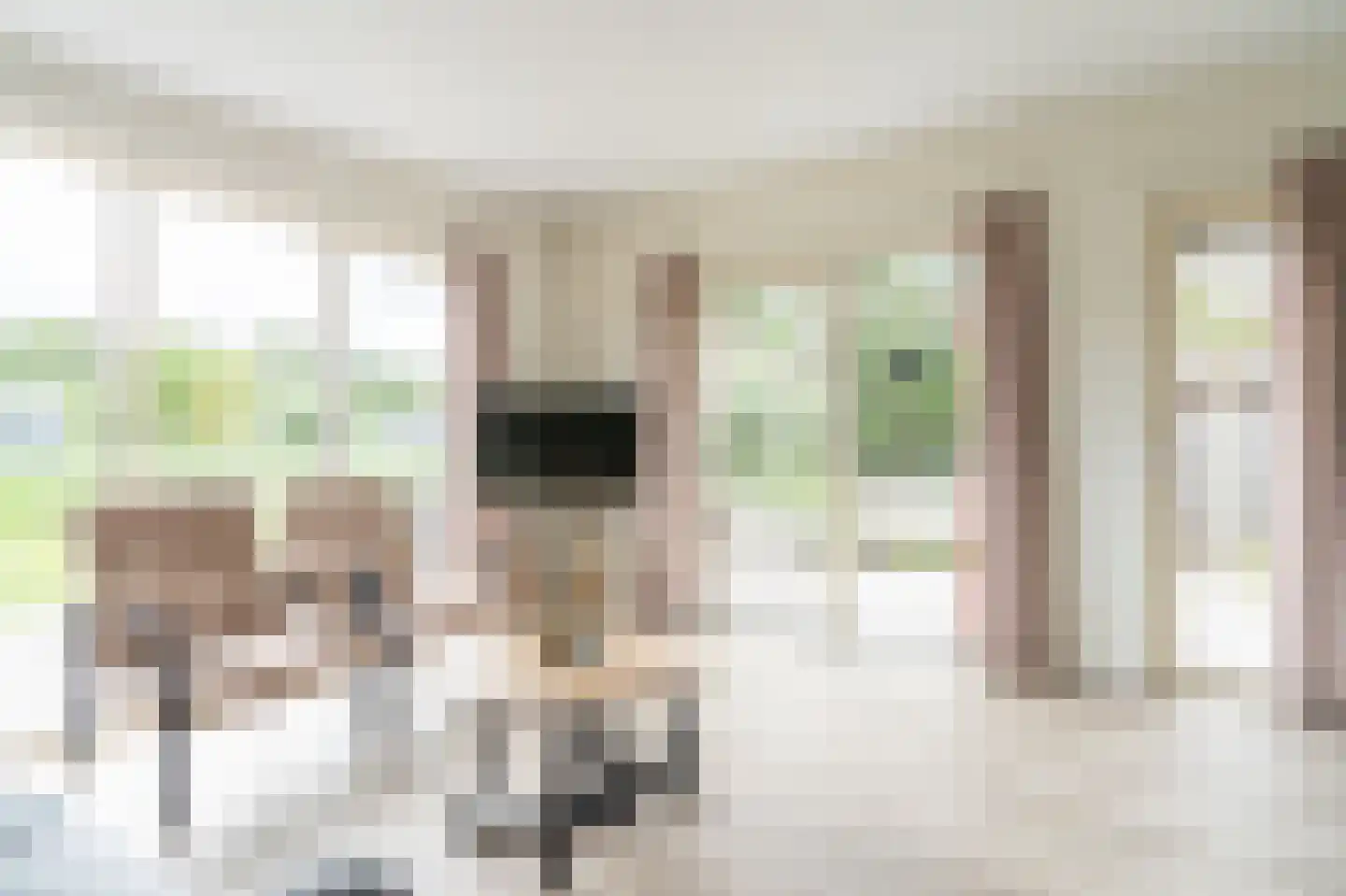 Vuurtorenpark Noord 219 Hollum thumbnail 10